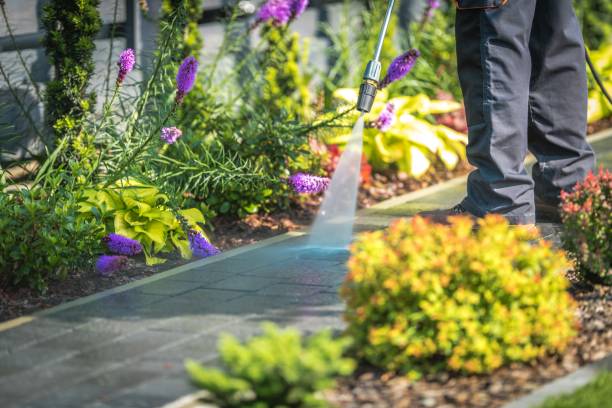 Trusted Smithville Sanders, IN Pressure Washing Services Experts
