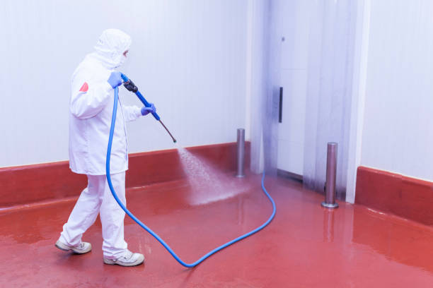 Best Paint Preparation  in Smithville Sanders, IN